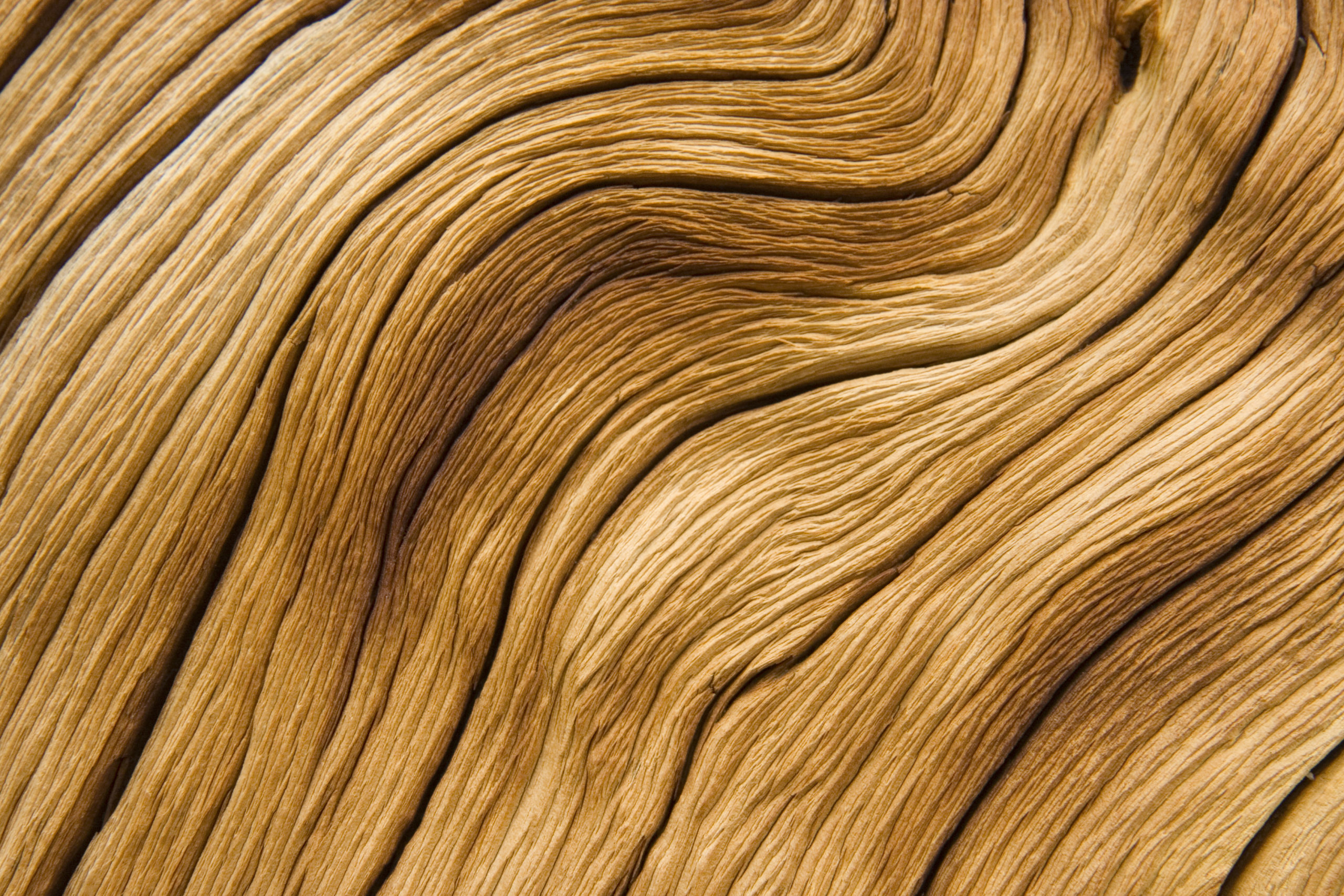 Les 1001 avantages du bois,<br><em>doué d'une fibre bas carbone</em>
